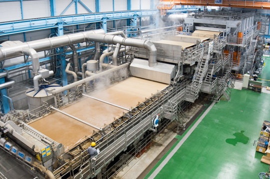 Hyogo Pulp của Nhật Bản khôi phục sản xuất bột USK, dự kiến sớm xuất khẩu sang Trung Quốc 