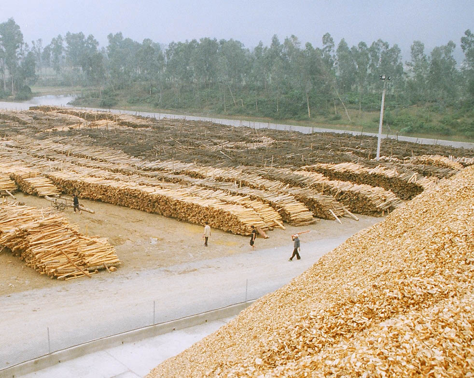 Việt Nam trở thành nước xuất khẩu dăm mảnh gỗ lớn nhất vào Trung Quốc trong Quý III – 2018