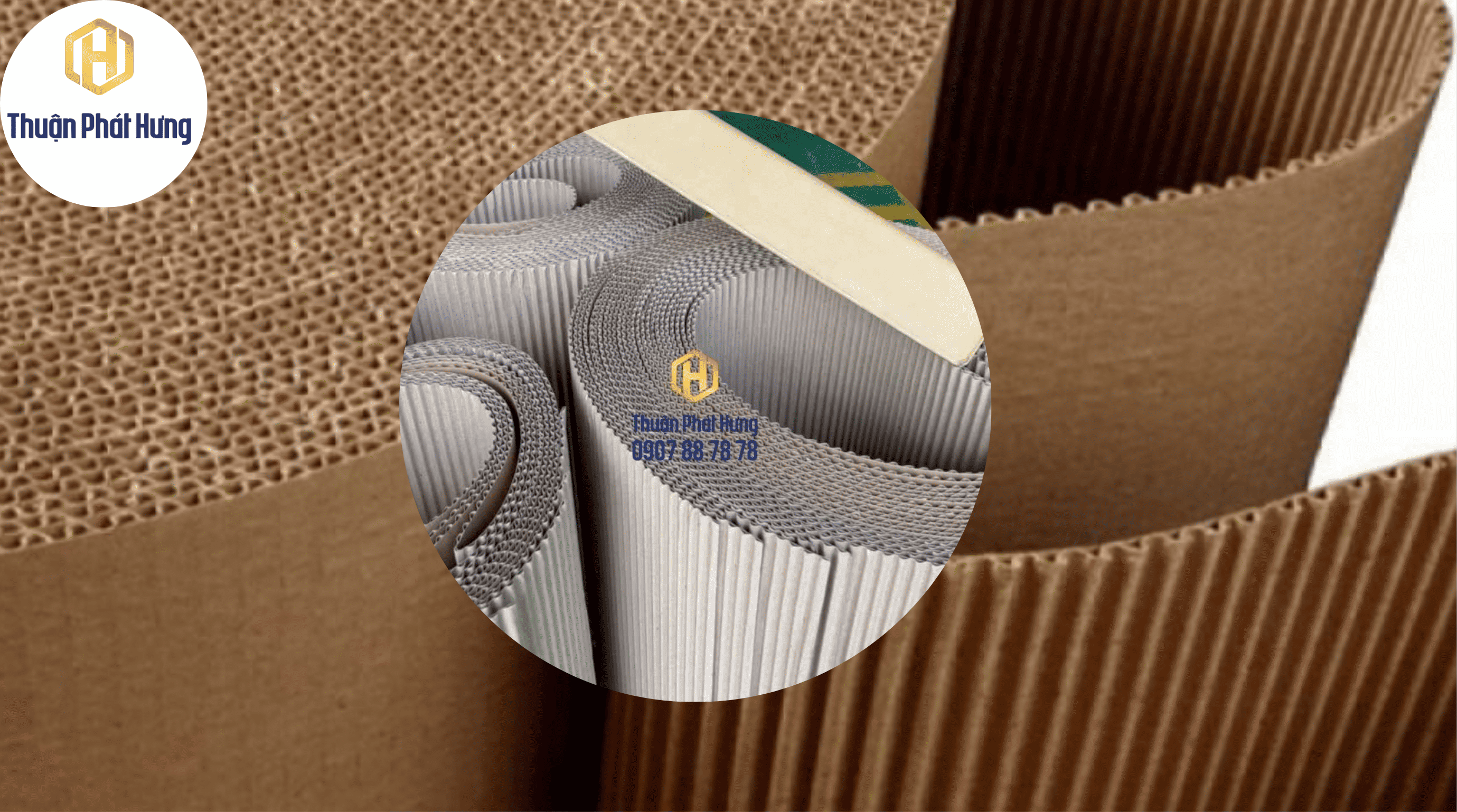 A-Z Về tấm bìa Carton 2-3 lớp: Các loại, lợi ích – ứng dụng