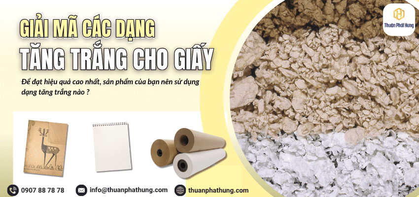 Tại sao giấy cần chất tăng trắng? Câu trả lời từ chuyên gia ngành giấy